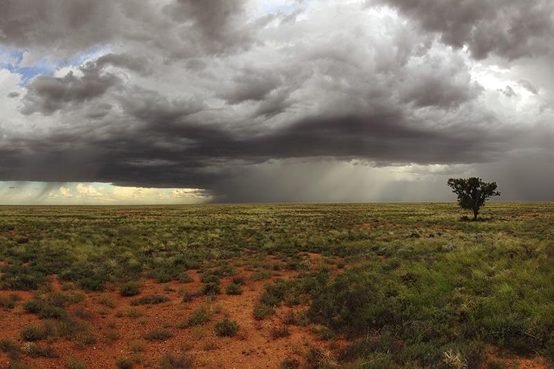 National Parks and Conservancies